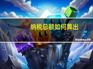 纳税总额如何算出