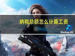 纳税总额怎么计算工资（纳税总额怎么计算）