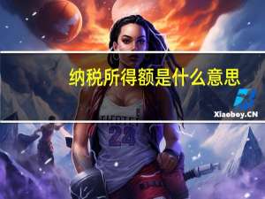 纳税所得额是什么意思