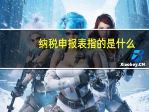 纳税申报表指的是什么