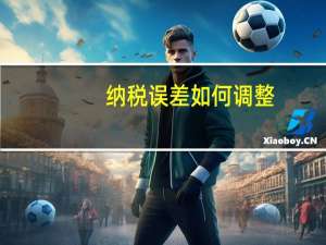 纳税误差如何调整