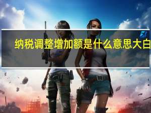 纳税调整增加额是什么意思大白话（纳税调整增加额是什么意思）