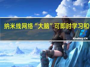 纳米线网络“大脑”可即时学习和记忆
