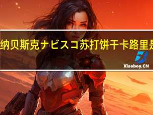 纳贝斯 克ナビスコ苏打饼干卡路里是多少