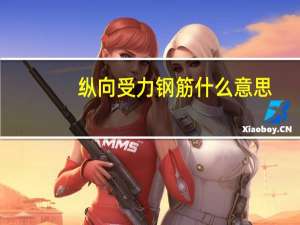 纵向受力钢筋什么意思