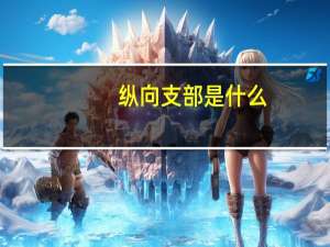 纵向支部是什么