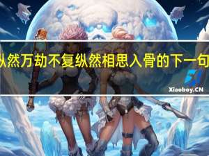 纵然万劫不复纵然相思入骨的下一句是什么（纵然万劫不复纵然相思入骨）