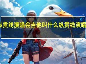 纵贯线演唱会吉他叫什么 纵贯线演唱会高清