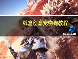 纸盒创意宠物狗教程