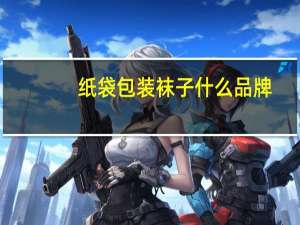 纸袋包装袜子什么品牌