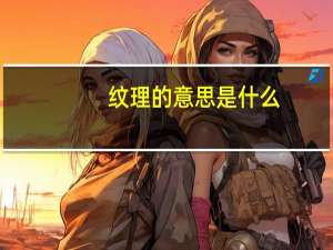 纹理的意思是什么