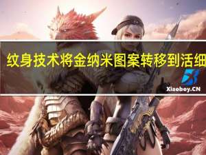 纹身技术将金纳米图案转移到活细胞上