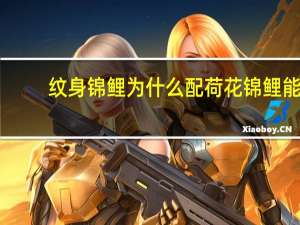 纹身锦鲤为什么配荷花 锦鲤能和荷花混养吗