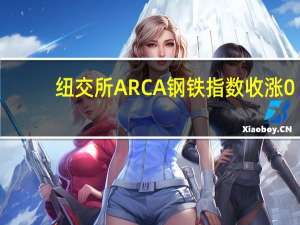 纽交所ARCA钢铁指数收涨0.36%报1947.68点