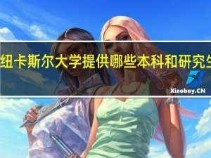 纽卡斯尔大学提供哪些本科和研究生专业