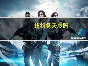 纽约冬天冷吗