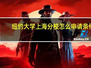 纽约大学上海分校怎么申请条件