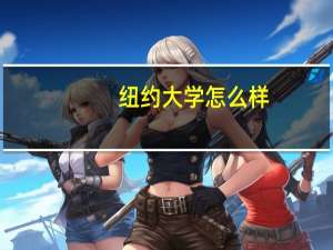 纽约大学怎么样