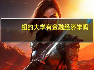 纽约大学有金融经济学吗