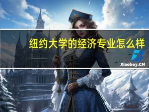 纽约大学的经济专业怎么样