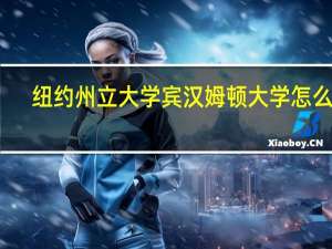 纽约州立大学宾汉姆顿大学怎么样