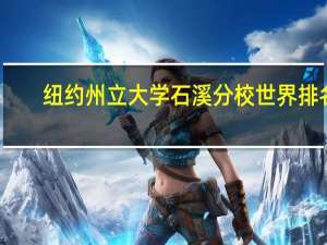 纽约州立大学石溪分校世界排名