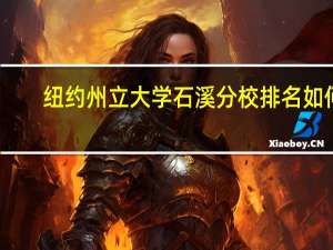 纽约州立大学石溪分校排名如何