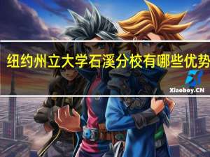 纽约州立大学石溪分校有哪些优势专业