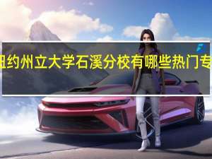 纽约州立大学石溪分校有哪些热门专业推荐