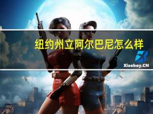 纽约州立阿尔巴尼怎么样