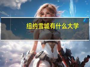 纽约雪城有什么大学