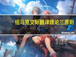 纽马克交际翻译理论三原则