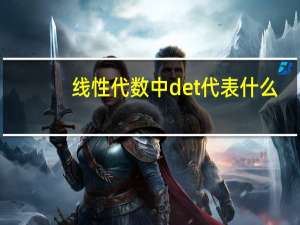 线性代数中det代表什么