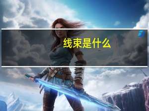 线束是什么