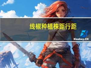 线椒种植株距行距