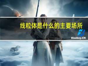 线粒体是什么的主要场所