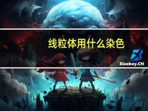 线粒体用什么染色