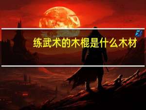 练武术的木棍是什么木材