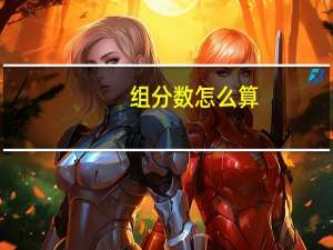 组分数怎么算