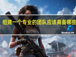 组建一个专业的团队应该具备哪些条件