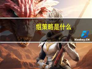 组策略是什么
