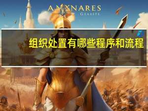 组织处置有哪些程序和流程