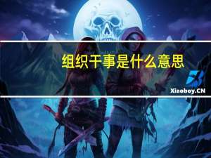 组织干事是什么意思