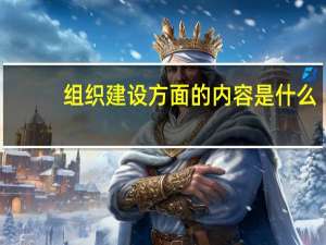 组织建设方面的内容是什么