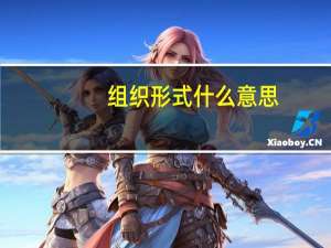 组织形式什么意思