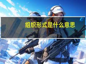 组织形式是什么意思