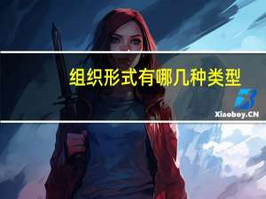 组织形式有哪几种类型