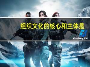 组织文化的核心和主体是