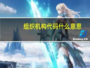 组织机构代码什么意思