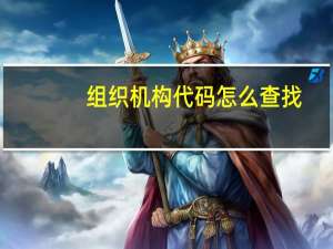 组织机构代码怎么查找（组织机构代码怎么查）